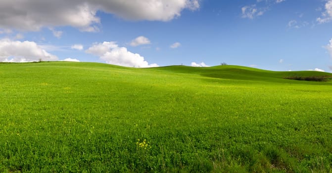 overview of a meadow in the hills of Tuscany