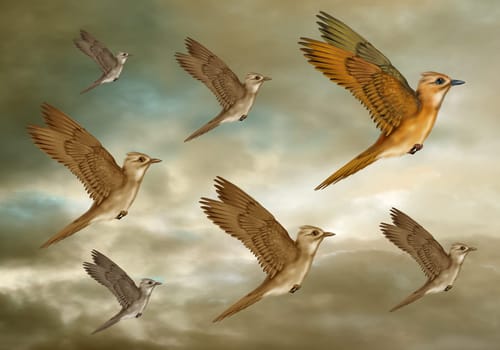 Illustration of a stylized flock of birds flying through the heavens