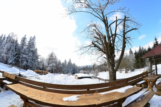 Winter Landscape Fisheye