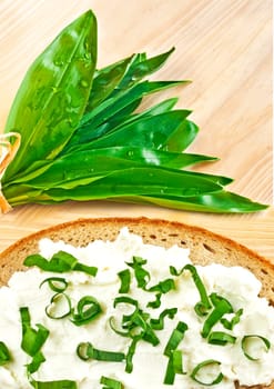 Wild garlic and quark