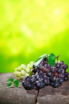 Bunches of fresh red and white grapes outdoors on a stone wall conceptual of either farm fresh table grapes or of cultivars at a winery for wine production