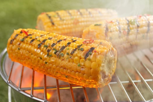 Fresh ripe golden yellow corn on the cob sizzling on the fire of a small outdoor portable barbecue