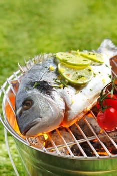 Whole gilthead breem garnished with slices of lemon grilliing over the coals on an outdoor barbecue