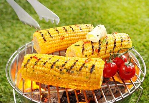 Grilled Corncob en brochette in a close up shot