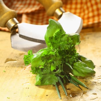 Bouquet garni of fresh herbs including basil, crinkly leaf parsley and chives lying on a wooden table in front of a chopping blade