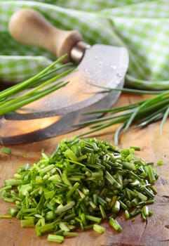 Pile of chopped fresh chives lying on a wooden kitchen table with a curved chopping knife and checked green and white cloth