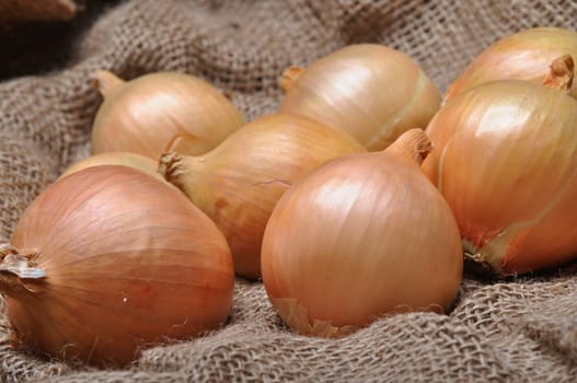 onions on burlap sack