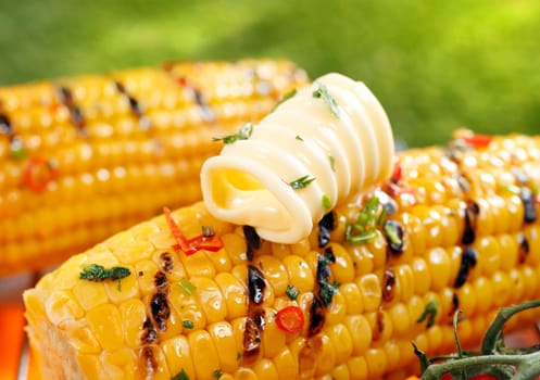 Delicious golden grilled corn on the cob served outdoors with a curl of fresh farm butter