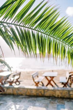 View through green palm leaf to tables and chairs on the seashore. High quality photo