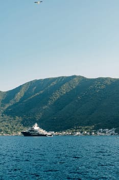 Passenger ship sails on the blue sea against the backdrop of a green mountain range. High quality photo