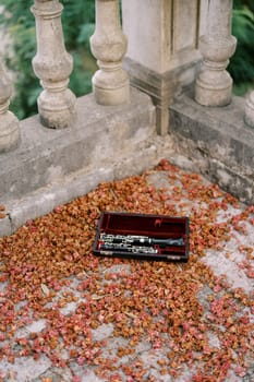 Open case with a clarinet lies on the stone terrace of an old building among dried buds. High quality photo