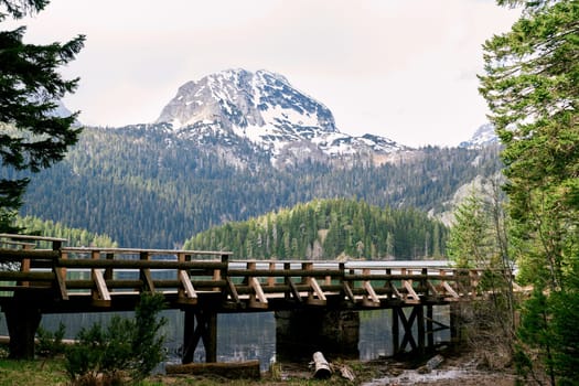 Wooden footbridge over stream and Black Lake. Durmitor National Park, Montenegro. High quality photo