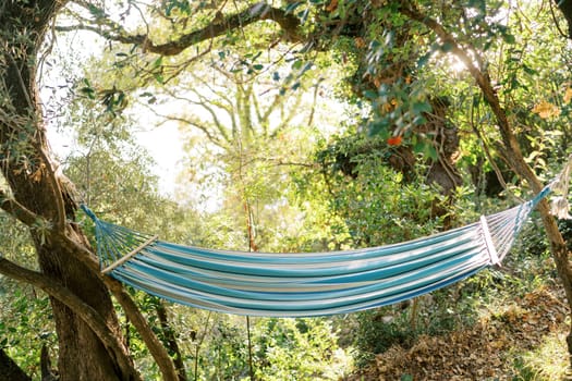 Fabric hammock hangs between trees in a green garden. High quality photo
