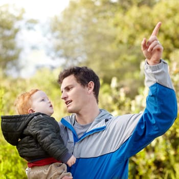 Father, child and pointing on hike in nature for teaching, learning or education of forest. Scotland, man and boy on adventure, journey or trip to explore woods, greenery or plants for quality time.