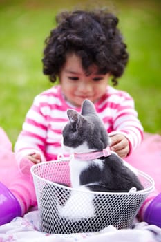 Nature, girl and kitten in a basket in a garden on the grass on a summer weekend together. Happy, sunshine and child or kid sitting and having fun with cat or feline animal pet on lawn in a field