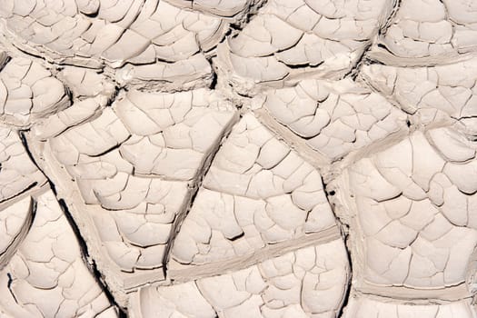 Detail of the cracked ground - dry season