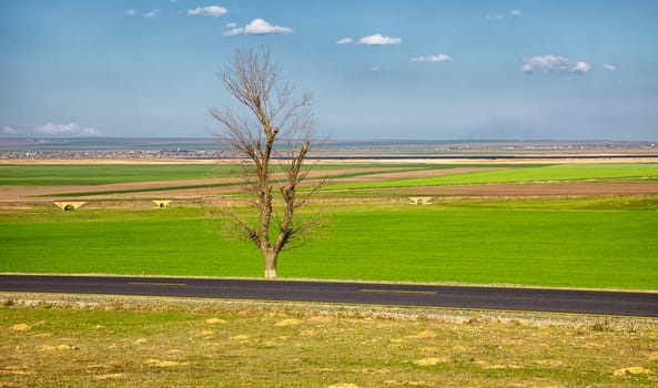 Spring landscape with Golovita lake in the distance, near Baia, Tulcea County, Romania.