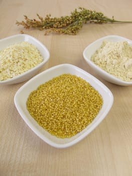 Millet grains,millet flakes and millet flour