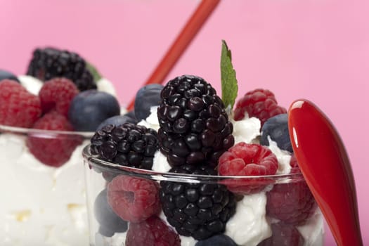 Yoghurt mousse dessert with colourful berries and mint leaves