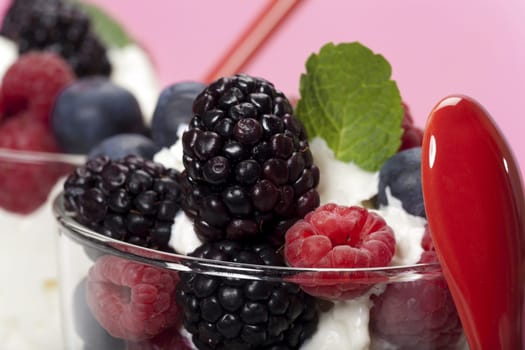 Yoghurt mousse dessert with colourful berries and mint leaves