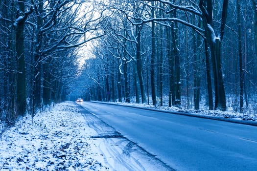 road in winter forest in evening