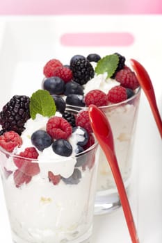 Yoghurt mousse dessert with colourful berries and mint leaves