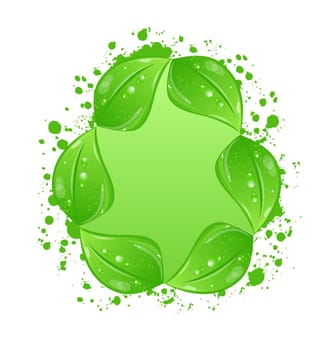 Illustration green eco leaves label isolated on white background - vector