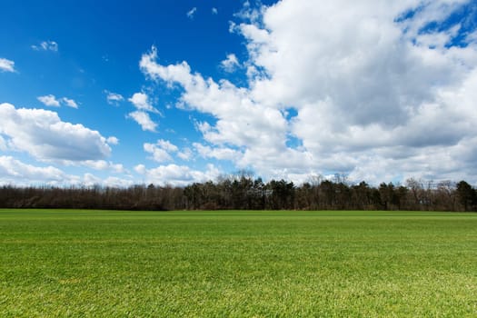 Meadow with clouds,landscape with cut lawn and sky