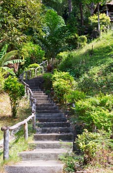 stone staircase with wooden hand rail in the jungles of Thailand