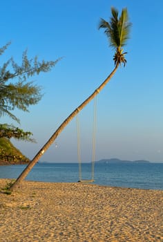 Empty swing hanging from a tree on romantic Thai beach at sunset