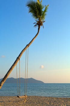 Empty swing hanging from a tree on romantic Thai beach at sunset.