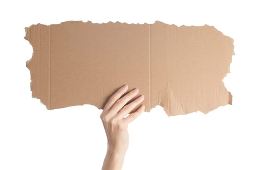 woman hand isolated on white background holding empty piece of cardboard with copy space for your text
