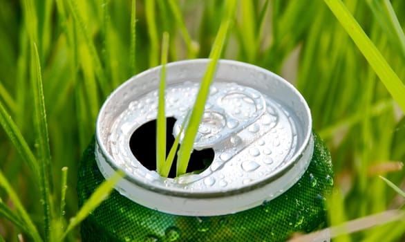 opened green aluminum can (bottle) in green grass. Grass growing through the can