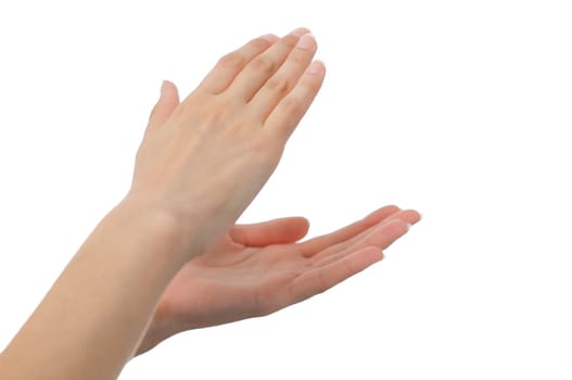 beautiful well groomed female hands isolated on white background giving applause