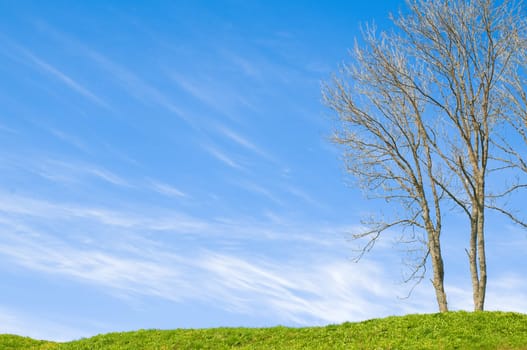 green grass field with trees in foreground and blue cloudy sky in background with lot of copy space