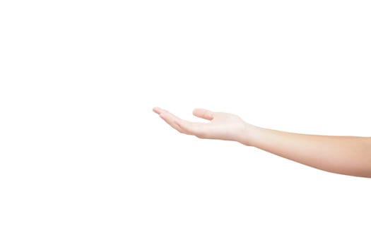 female woman hand holding isolated on white