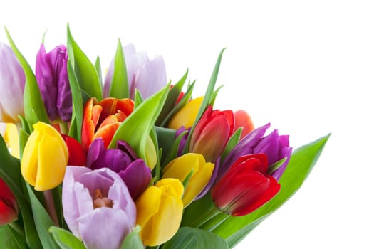 Tulip bouquet
