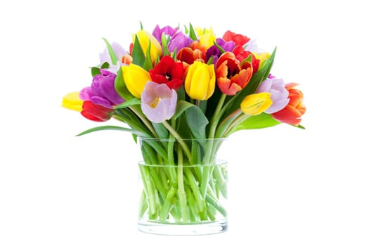 Tulip bouquet