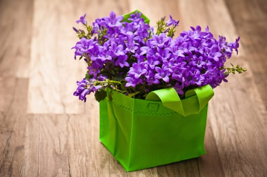 campanula blue a close up