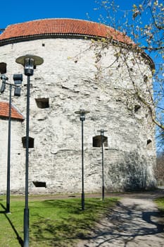 Tower Thick Margarita, Tallinn