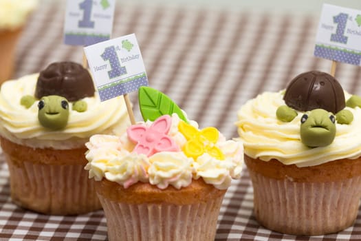 Cupcakes for a baby's first birthday