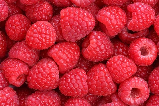 raspberries background