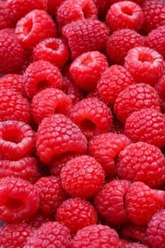 raspberries background
