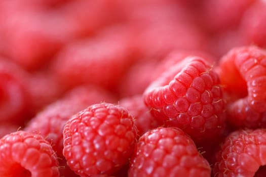 raspberries background