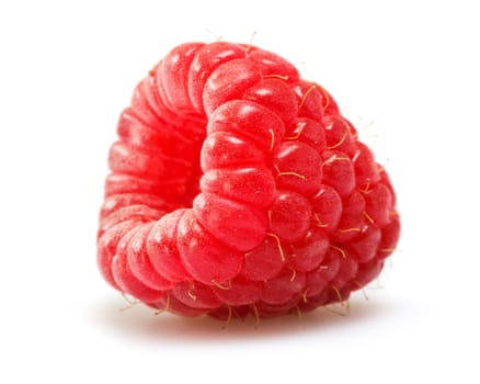 raspberry