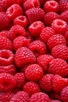 raspberries background