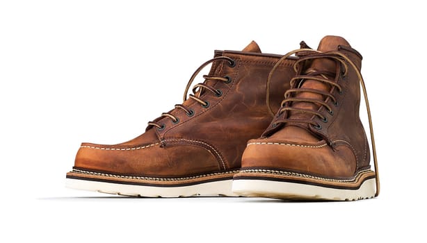 Pair of brown shoes