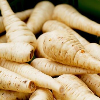 Fresh parsnips close-up at a market stall in summer