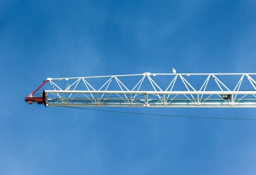 abstract of construction crane boom (and small gull on in) with blue sky in background