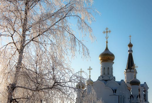 photo of the church at winter with snow covered tree in foreground
